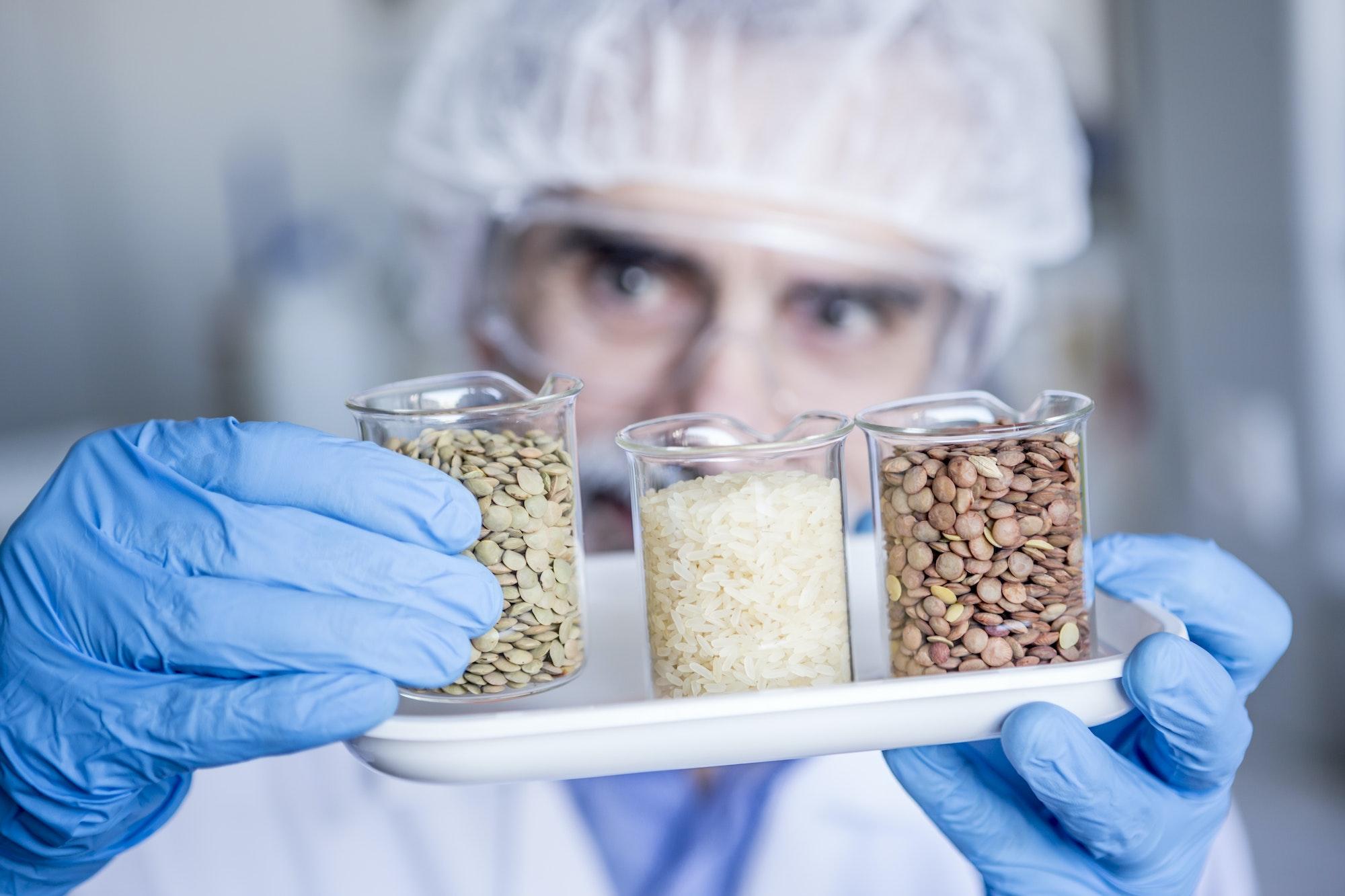 Scientist in lab examining food samples